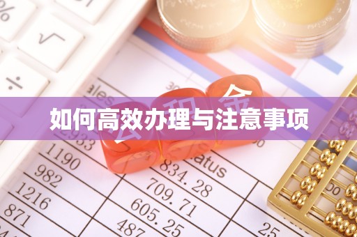 零陵如何高效办理与注意事项