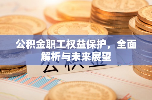 零陵公积金职工权益保护，全面解析与未来展望