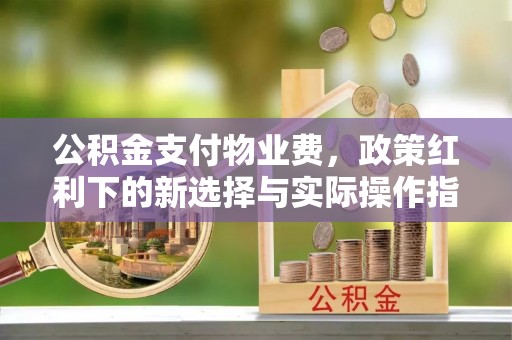 零陵公积金支付物业费，政策红利下的新选择与实际操作指南