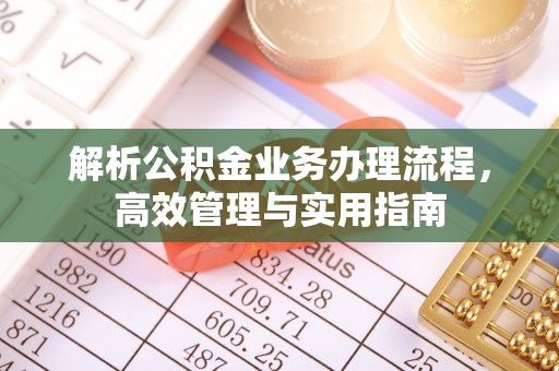 零陵解析公积金业务办理流程，高效管理与实用指南