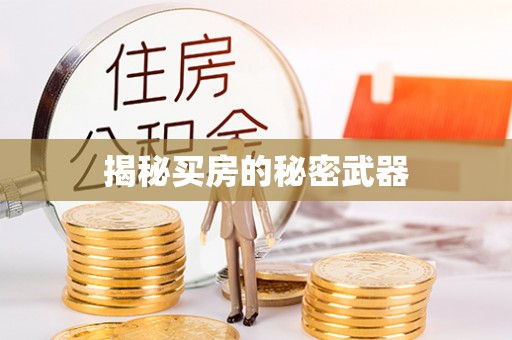 零陵揭秘买房的秘密武器