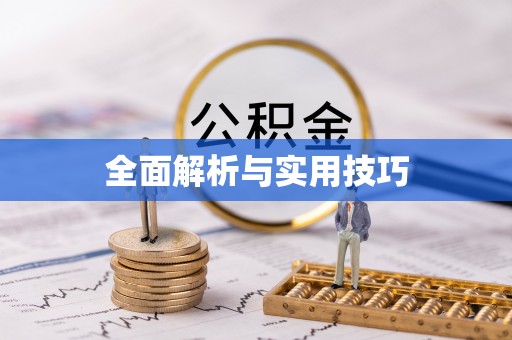 零陵全面解析与实用技巧