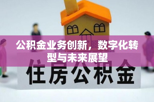 零陵公积金业务创新，数字化转型与未来展望