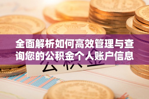 零陵全面解析如何高效管理与查询您的公积金个人账户信息