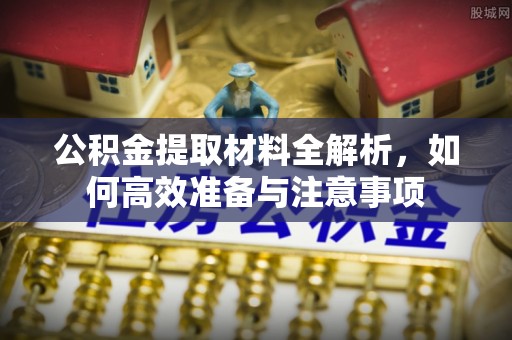 零陵公积金提取材料全解析，如何高效准备与注意事项