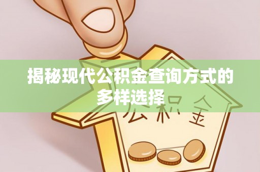 零陵揭秘现代公积金查询方式的多样选择