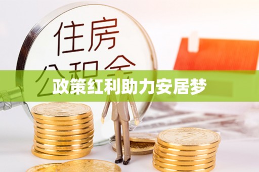 零陵政策红利助力安居梦