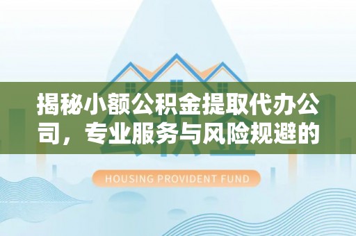 零陵揭秘小额公积金提取代办公司，专业服务与风险规避的平衡艺术