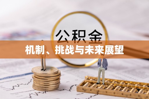 零陵机制、挑战与未来展望